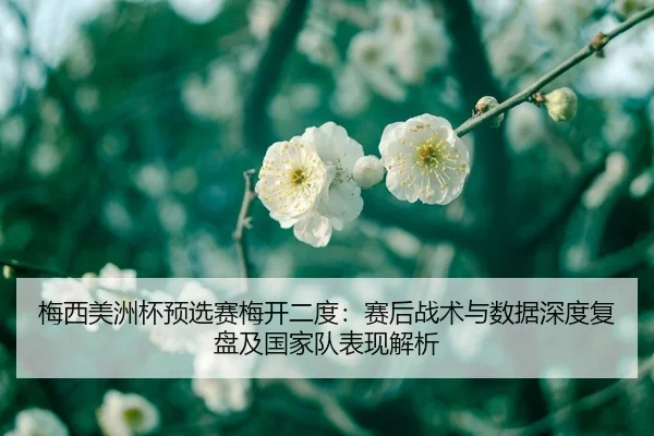 mei-xi-mei-zhou-bei-yu-xuan-sai-mei-kai-er-du-sai-hou-zhan-shu-yu-shu-ju-shen-du-fu-pan-ji-guo-jia-dui-biao-xian-jie-xi-2-705.jpg